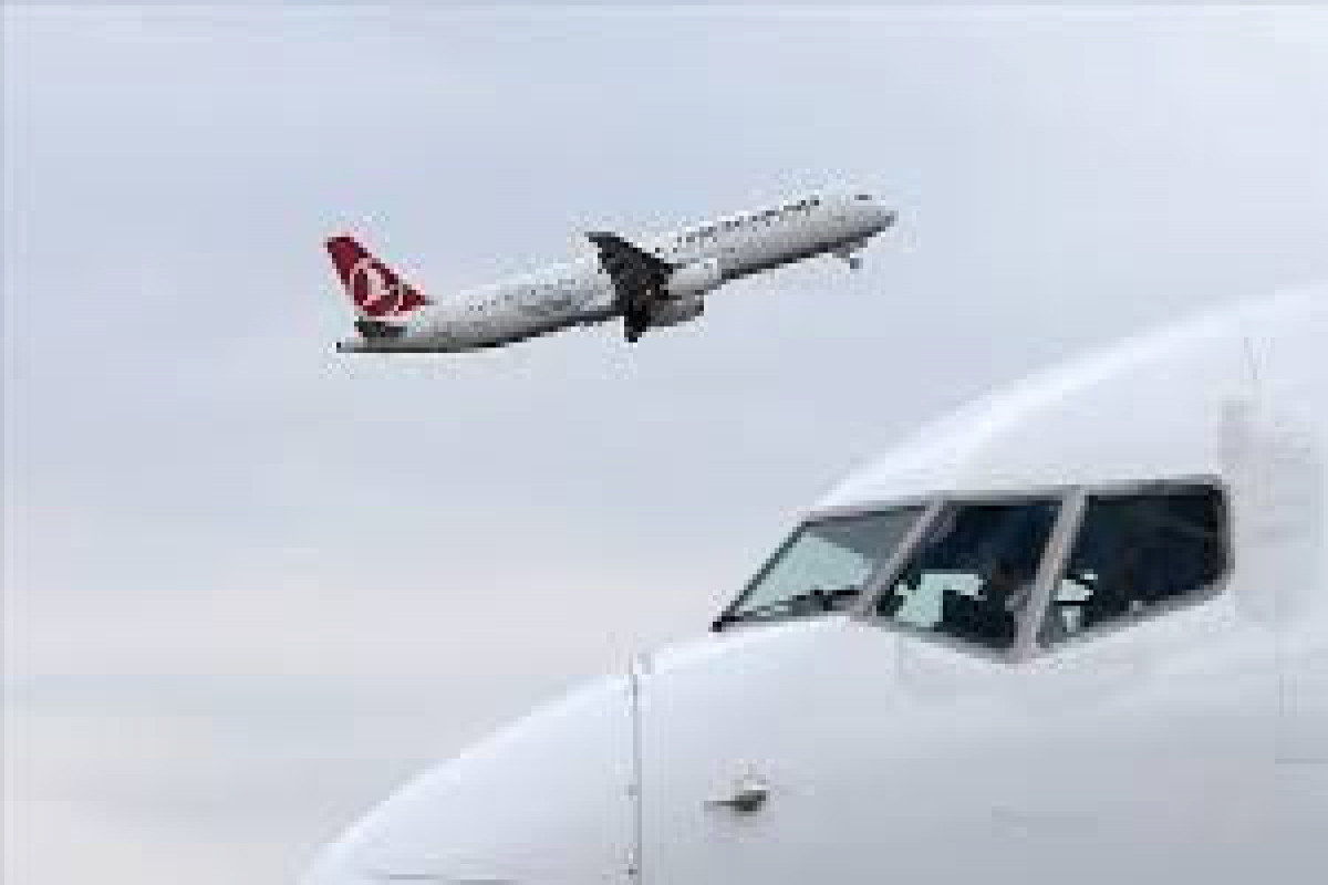 Turkish Airlines опровергла сообщения о перевозке нелегалов в Беларусь