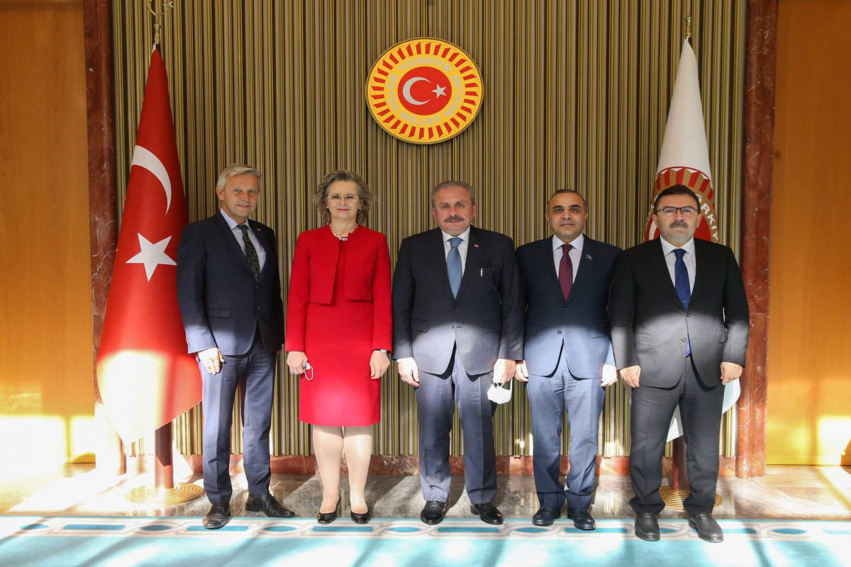 Встреча делегации ПА ОБСЕ с президентом Турции Реджепом Тайипом Эрдоганом