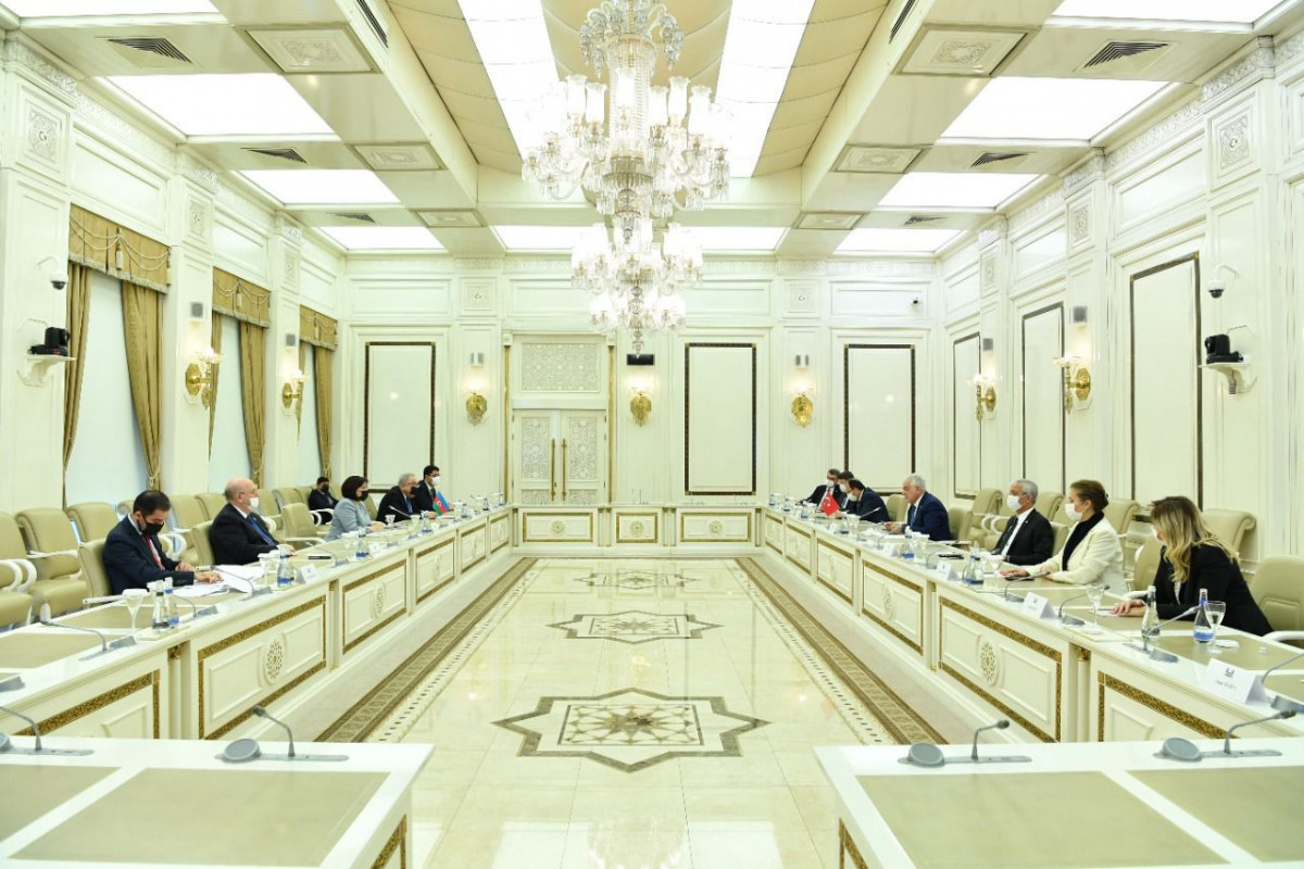 Milli Məclisin sədri Sahibə Qafarova, TBMM-in Azərbaycanla dostluq qrupunun üzvləri ilə görüş