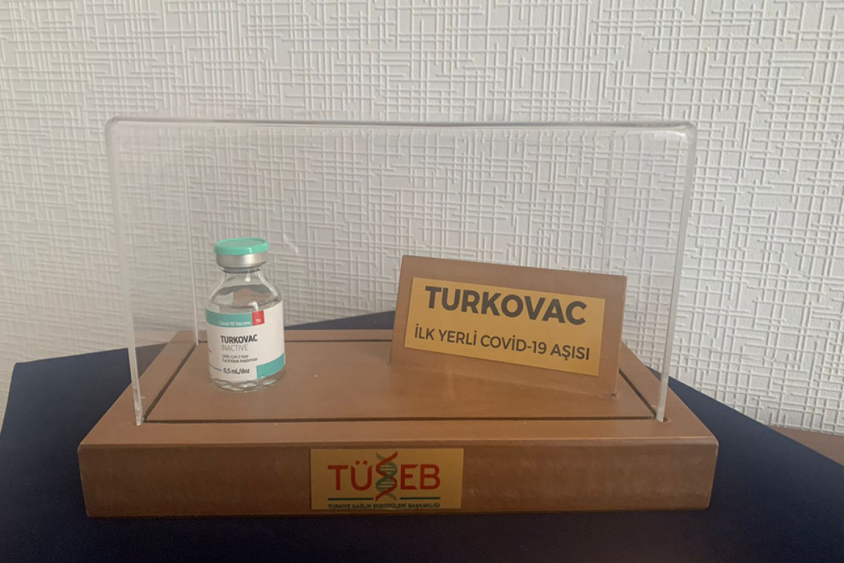 Теймур Мусаев: В ближайшее время будут рассмотрены документы о проведении третьей фазы клинических испытаний Turkovac