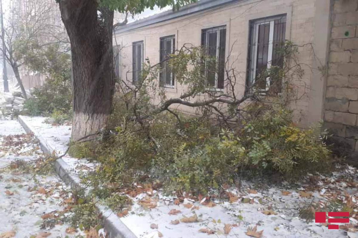 Ветер, снегопад и буря нанесли ущерб в Шамахинском районе