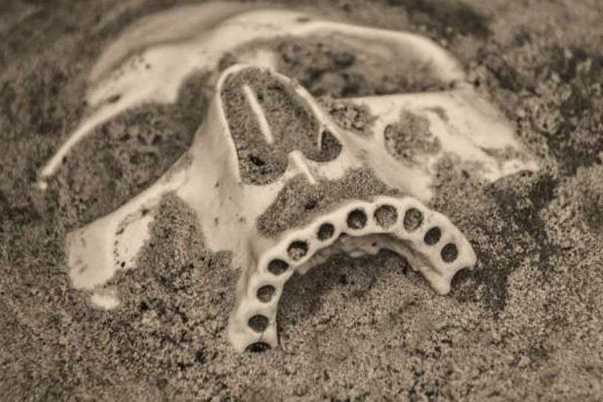 В Гобустанском районе обнаружены человеческие кости
