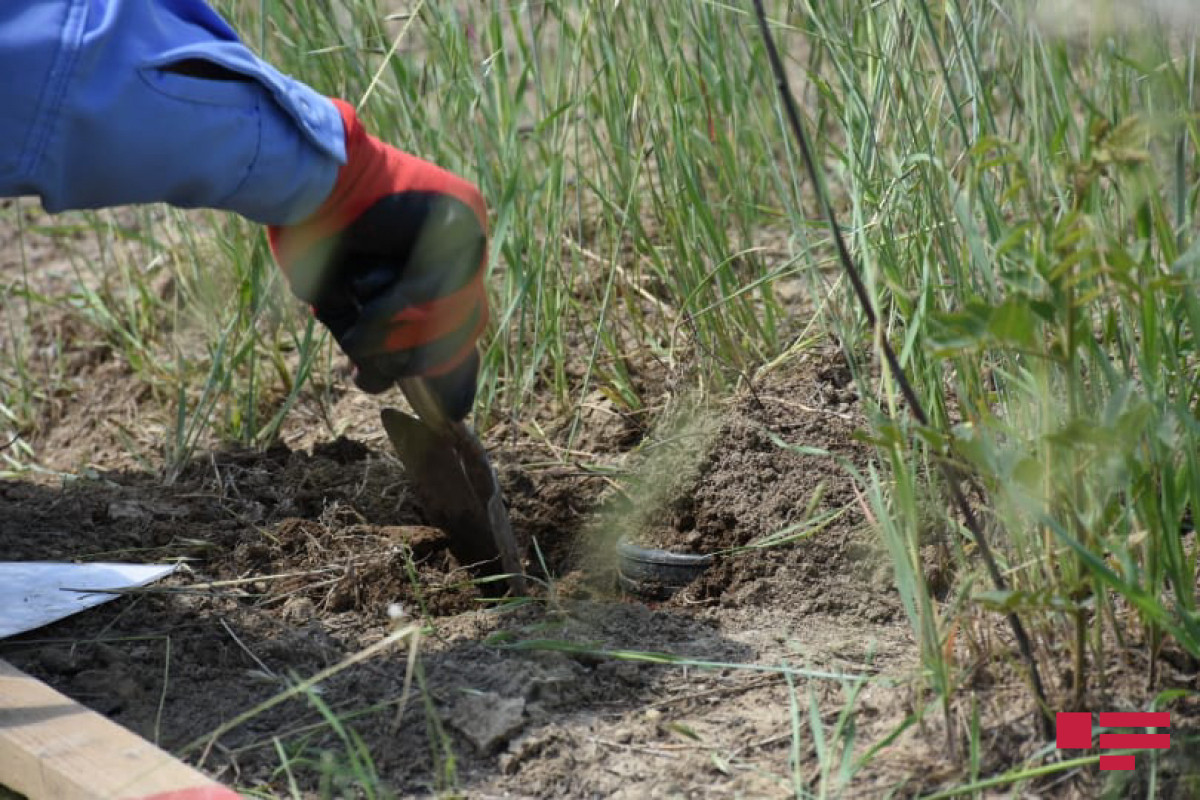 180 people stepped on mines in liberated Azerbaijani territories since Nov. 10, 2020