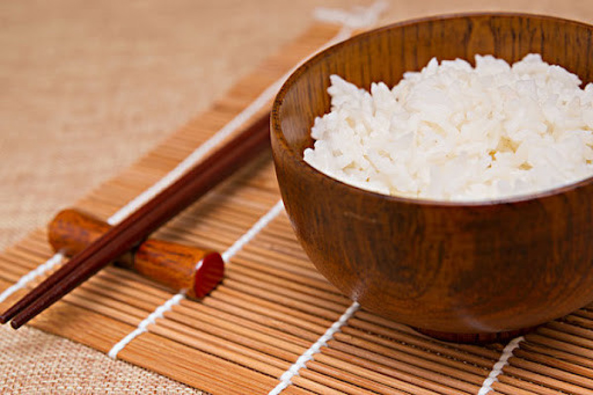 10,000-year-old rice displayed at China museum