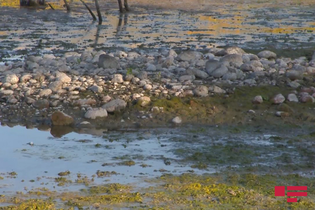 Armenians turned territory of three villages into a swamp by changing course of the Hakari River during occupation-PHOTO -VIDEO 