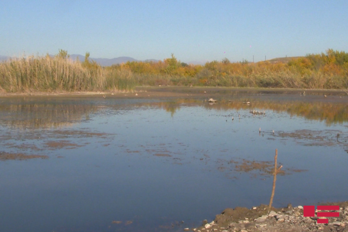 Армяне во время оккупации изменили русло реки Хекери и превратили территорию трех сел в болото
