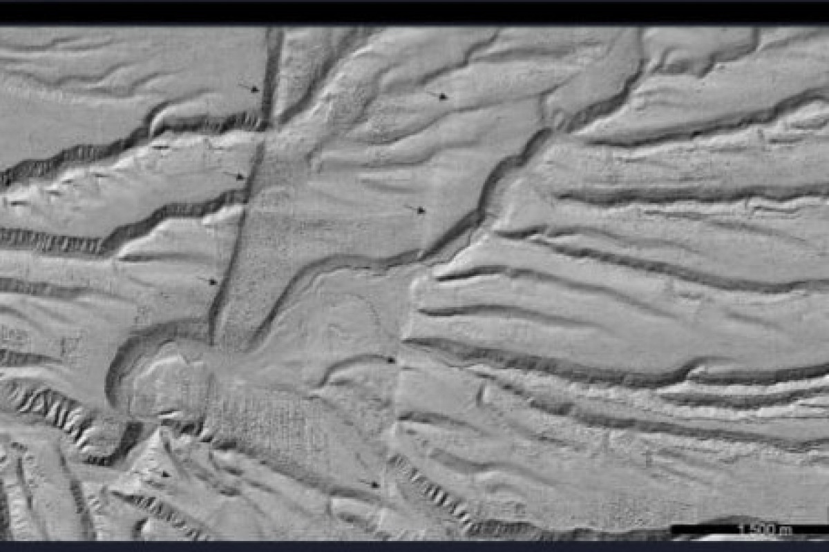 Britaniyalı alimlər Salyandakı tektonik qırılmalar sahəsinə səfər ediblər