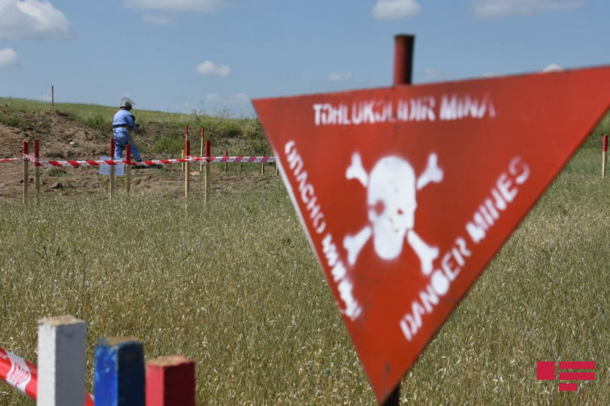 Türkiyə MN azad edilmiş torpaqlarda minalardan təmizlənmiş ərazilərin sahəsini açıqlayıb