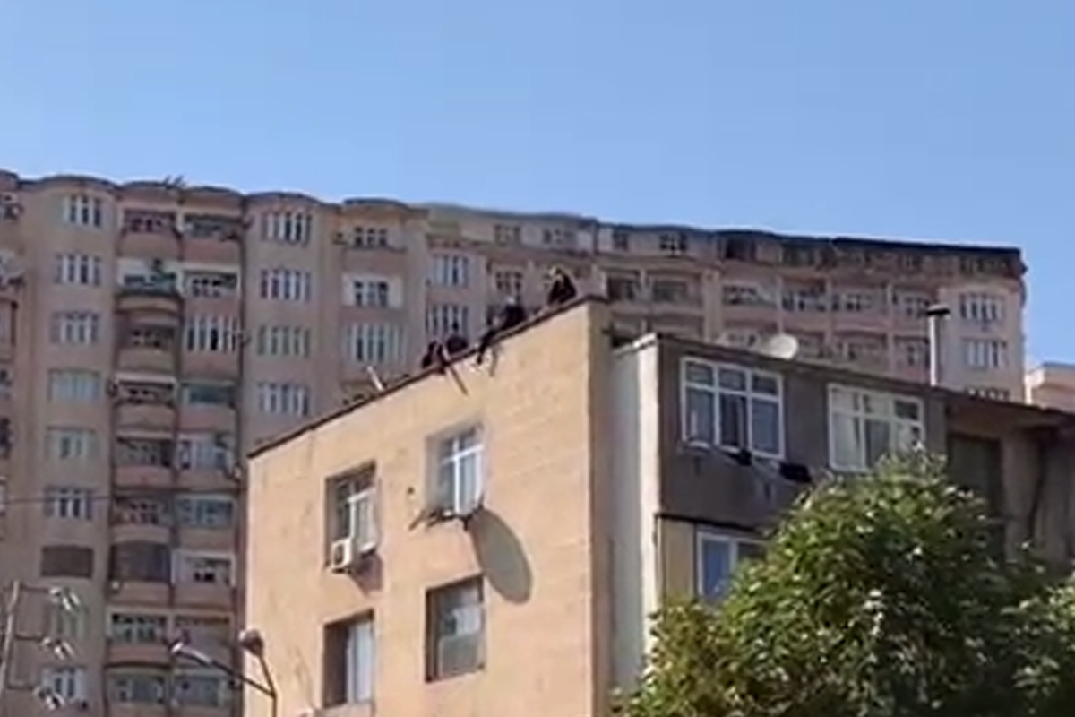 В Баку члены одной семьи предприняли попытку самоубийства