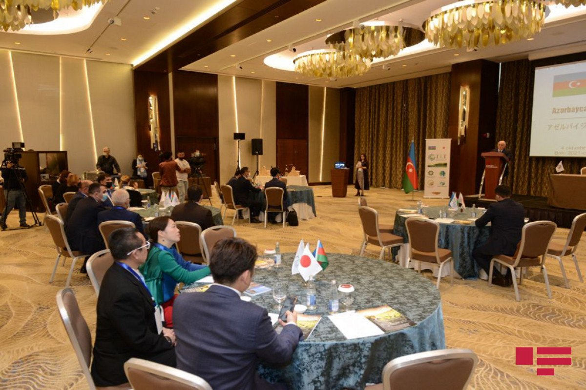 Azərbaycan-Yaponiya investisiya forumu
