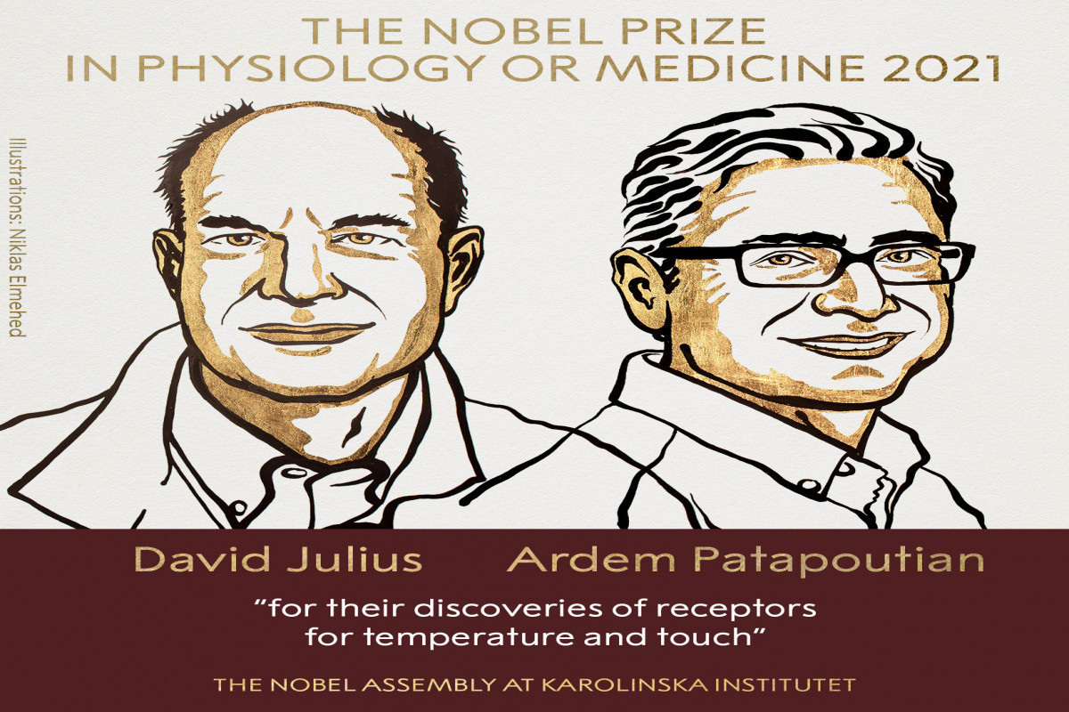 Назвали лауреатов Нобелевской премии в области физиологии и медицины