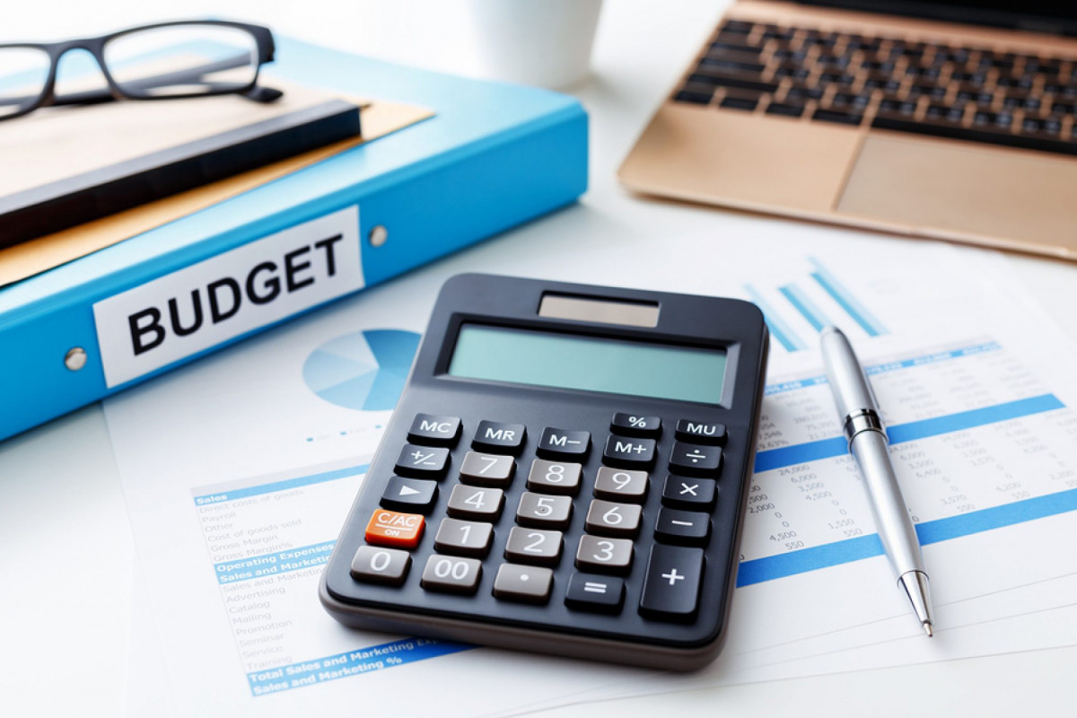 Hesablama Palatası bu il xərclər smetasının 82%-ni icra edib