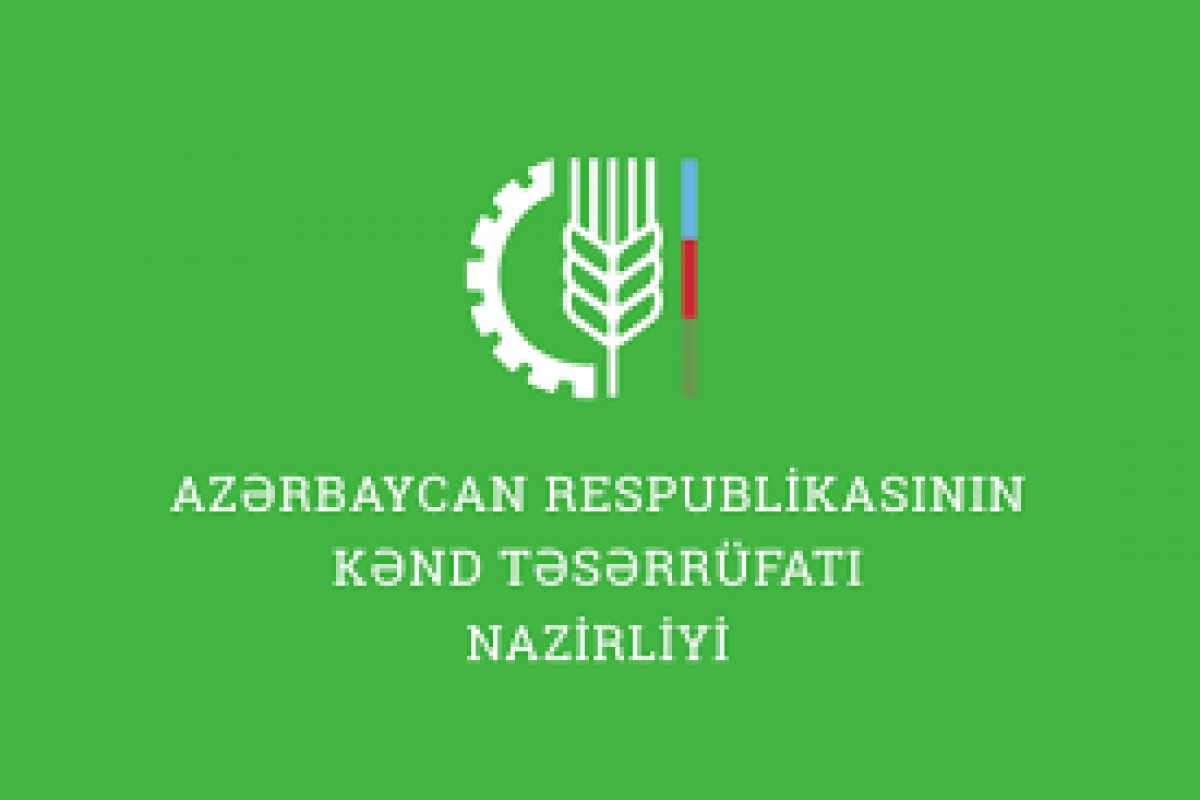 Kənd Təsərrüfatı Nazirliyi Aparatının işçilərinin say həddi azaldılıb