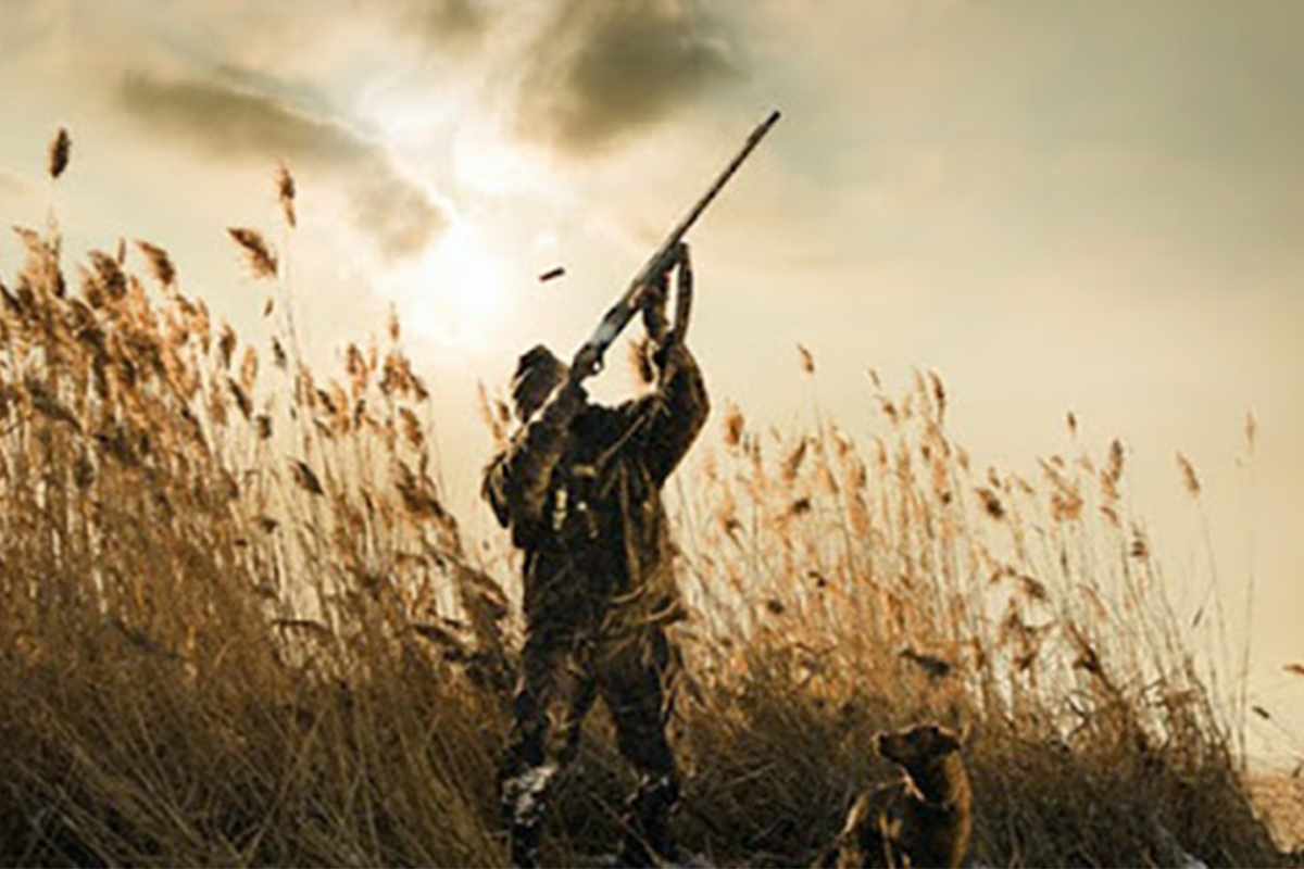 С завтрашнего дня в Азербайджане начинается сезон охоты