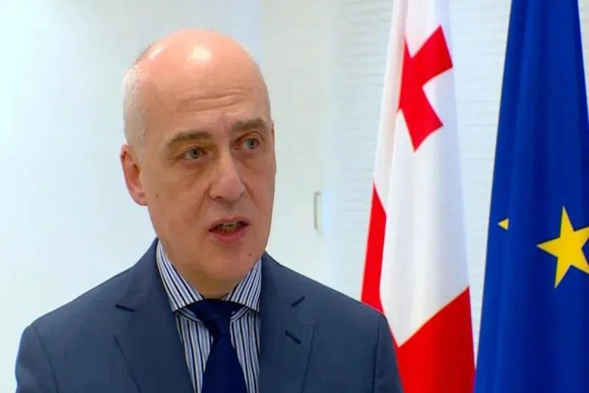 министр иностранных дел Грузии Давид Залкалиани