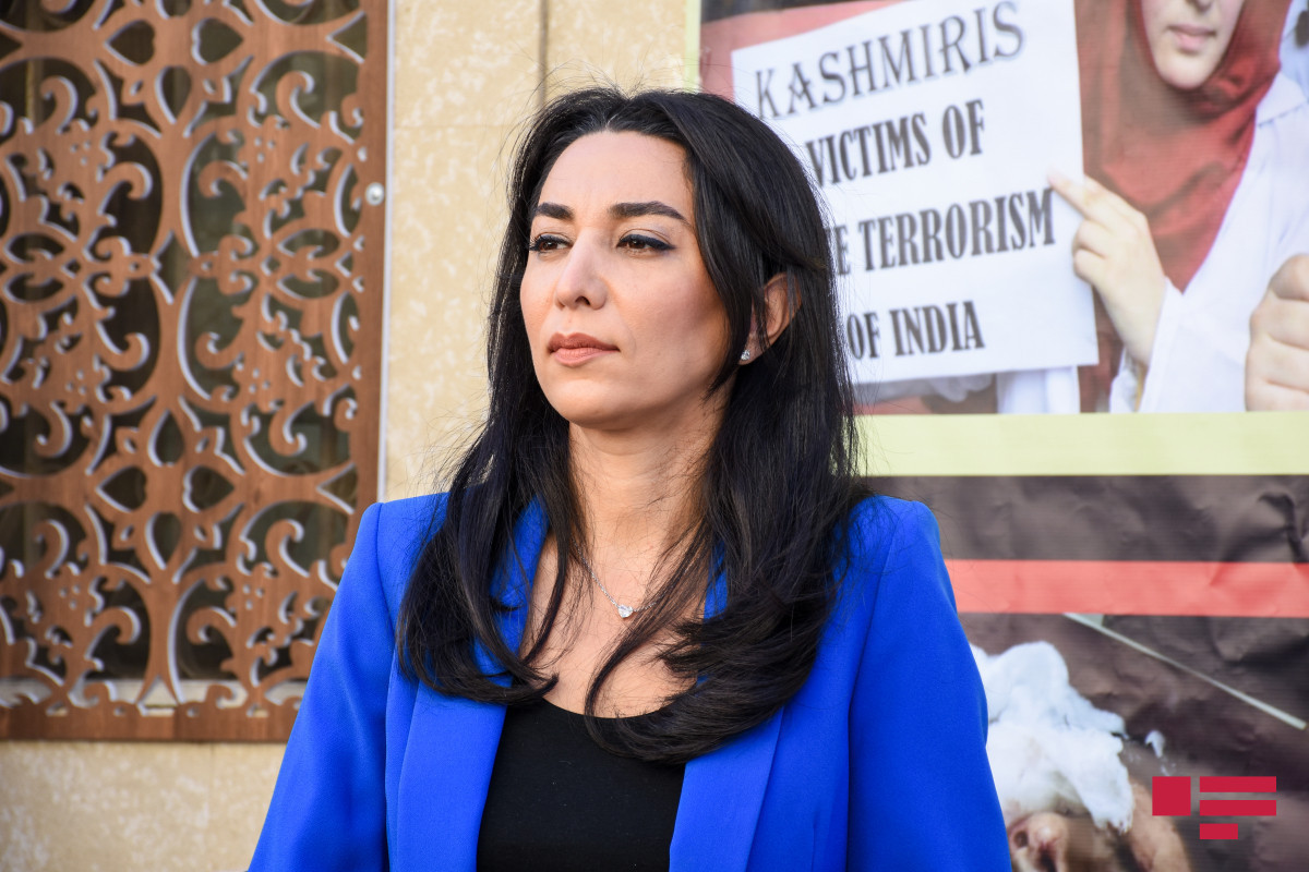 Commissioner for Human Rights of the Republic of Azerbaijan (Ombudsman) Sabina Aliyeva