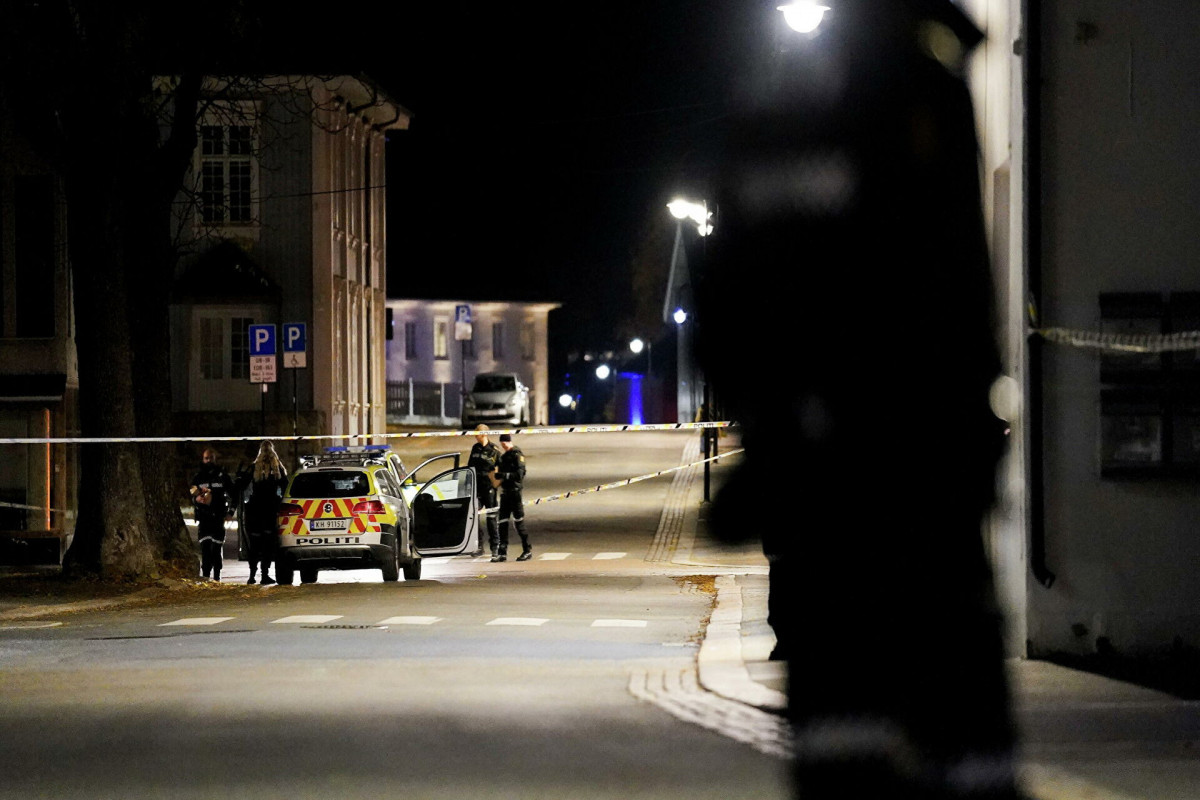 Норвежская полиция рассказала о подозреваемом, убившем из лука пять человек