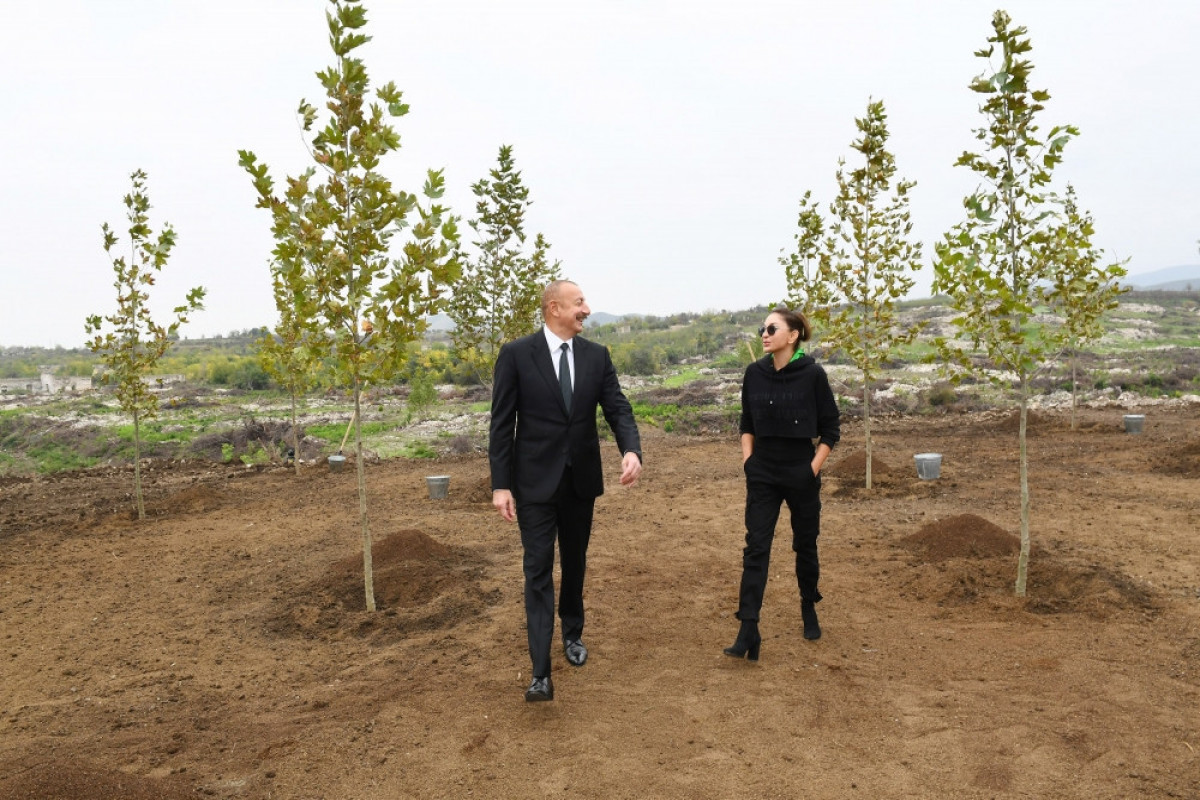 Президент и первая леди посадили дерево в Центральном городском парке, который будет заложен в Физули