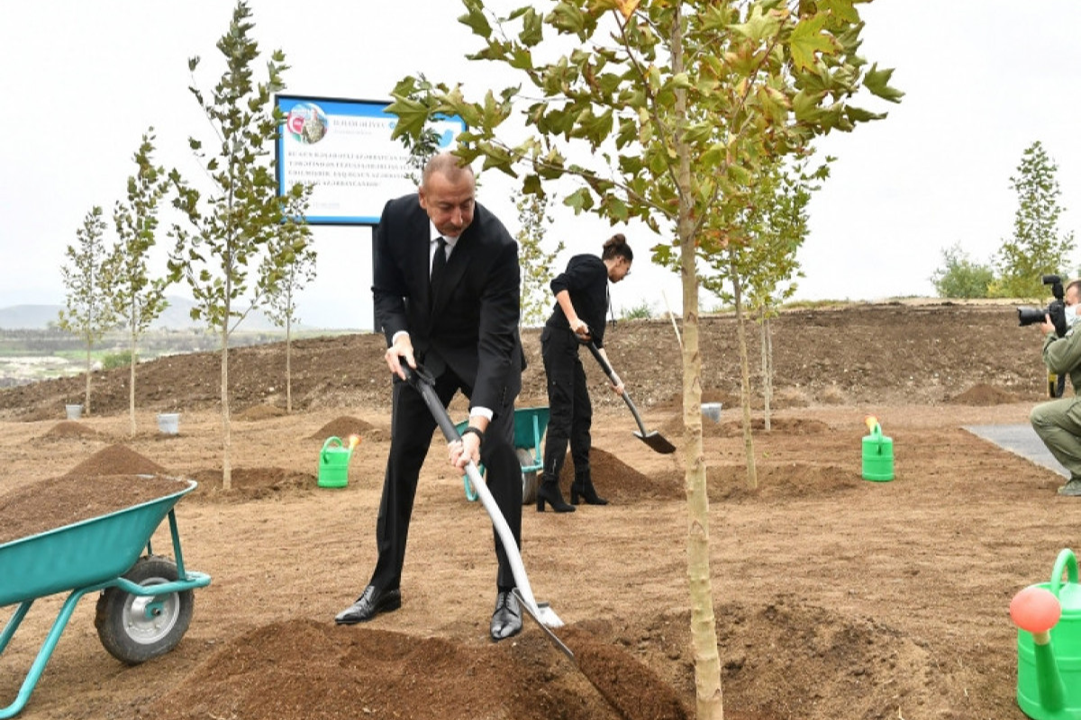 Президент и первая леди посадили дерево в Центральном городском парке, который будет заложен в Физули