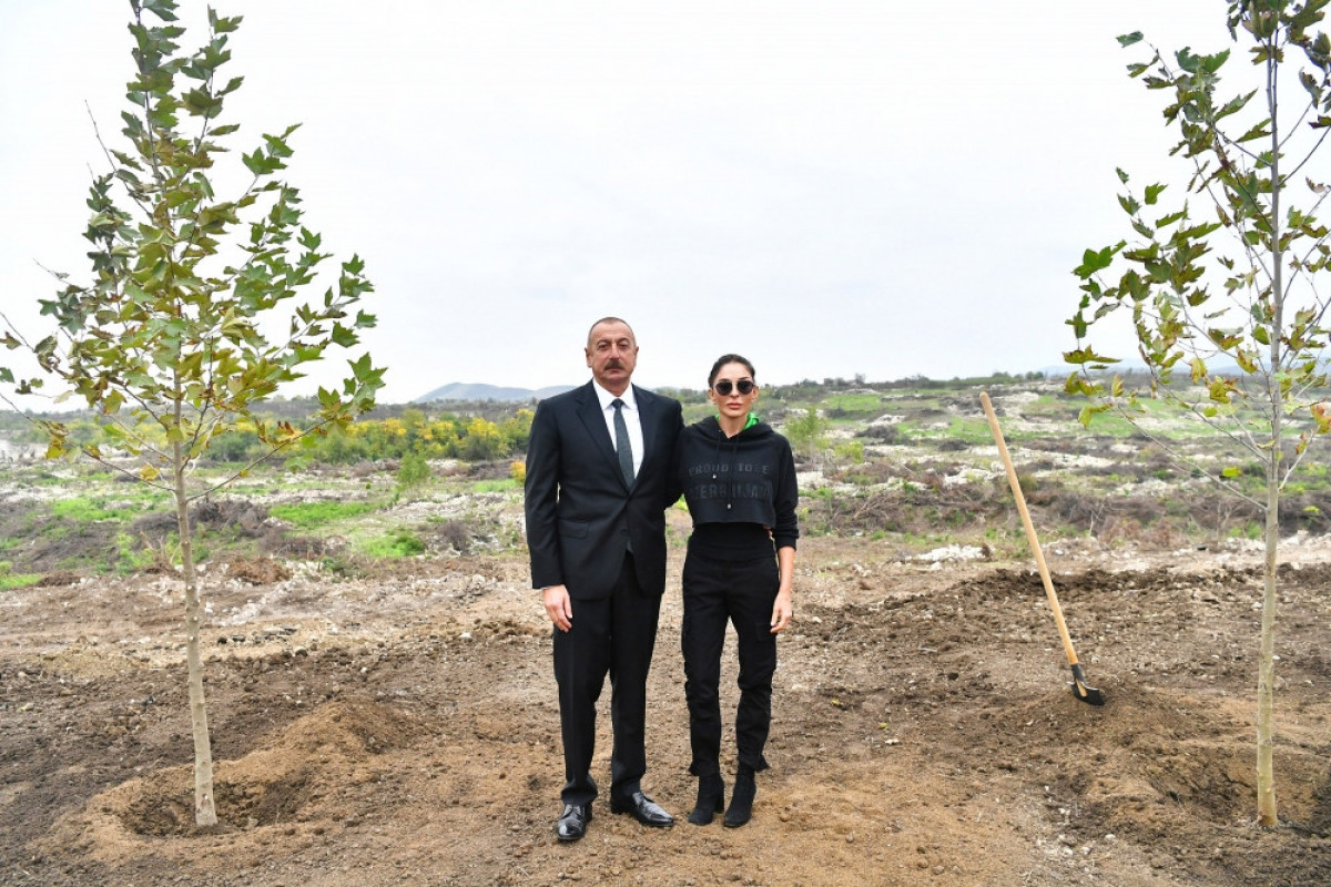 Azerbaijani President, and First lady plant tree in Central City park to be established in Fuzuli