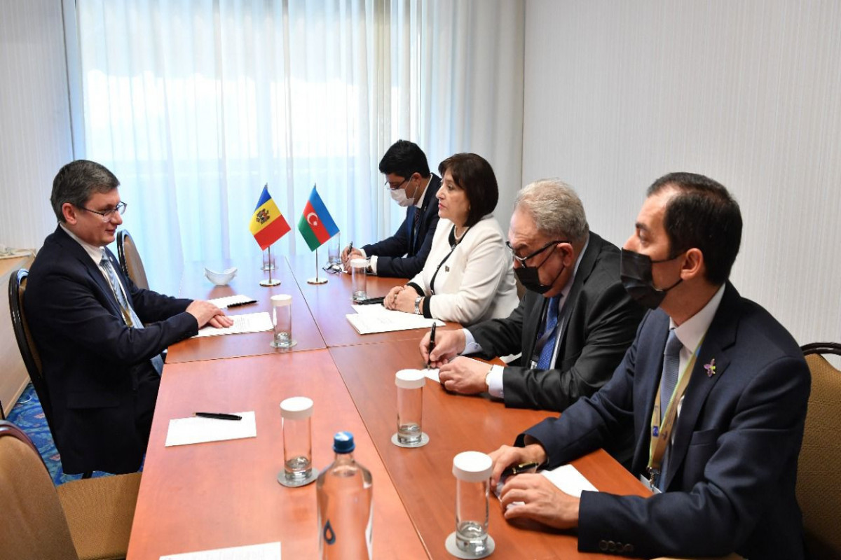 Sahibə Qafarova, Moldova Parlamentinin sədri İqor Qrosu ilə görüş