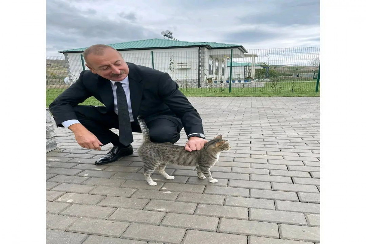 Мехрибан Алиева поделилась фото из поездки в Зангилан-ФОТО 