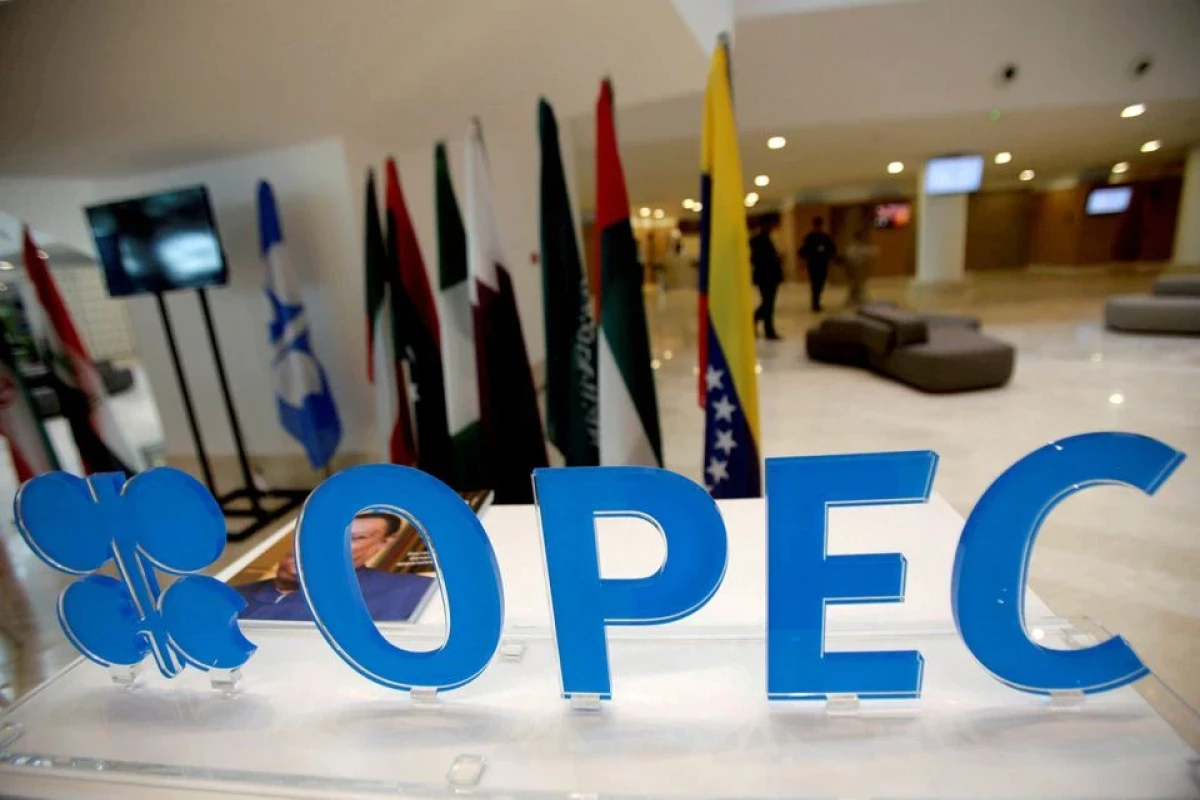 OPEC+ raises 2022 oil demand growth forecast