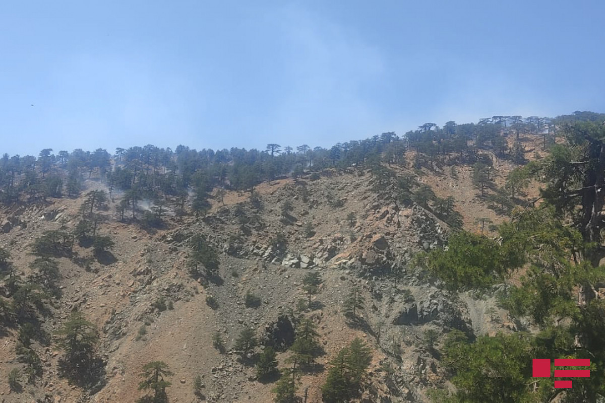 Fire in a mountainous area in Gabala localized