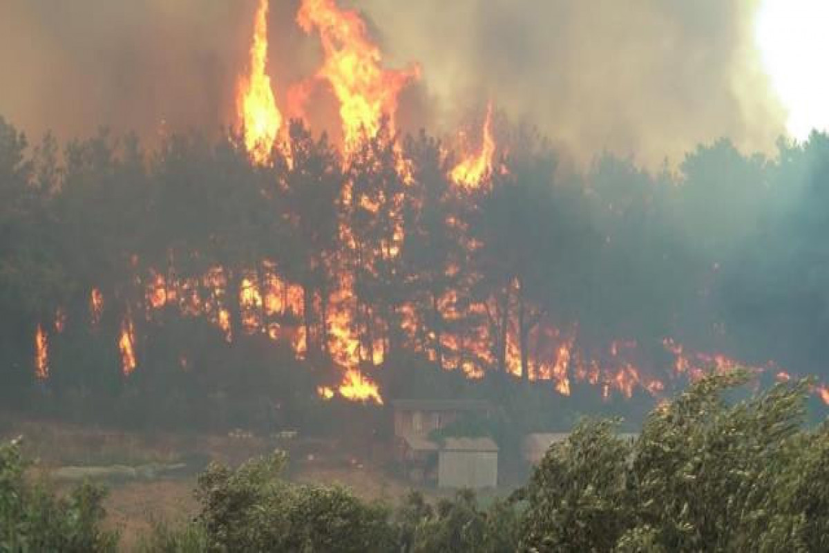 В Анталье начался лесной пожар