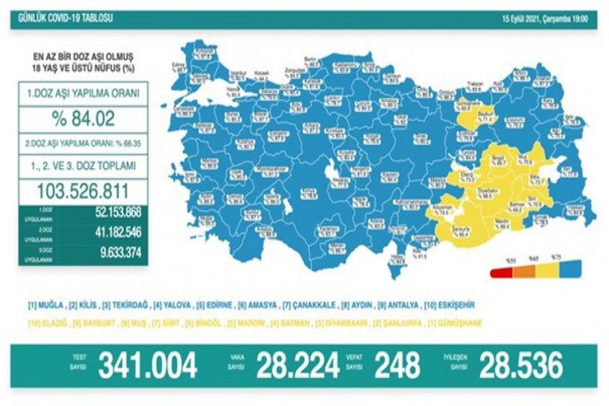 Türkiyədə son sutkada koronavirusdan 248 nəfər ölüb 