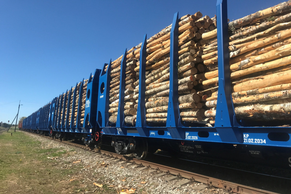 Azərbaycana bu il Rusiyadan 120 mln. manatlıq meşə materialları idxal olunub