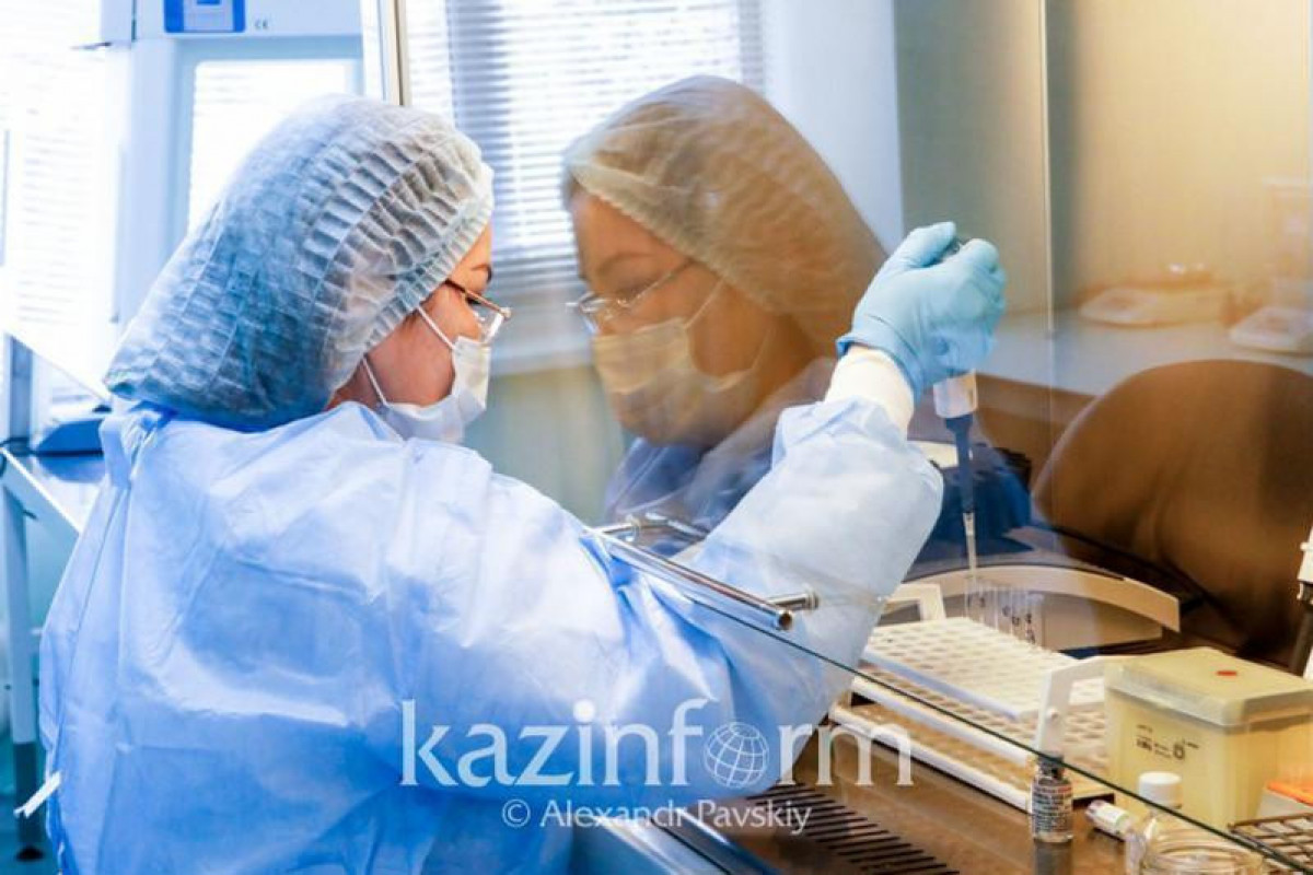 2,781 more COVID-19 cases recorded in Kazakhstan in past 24 hr