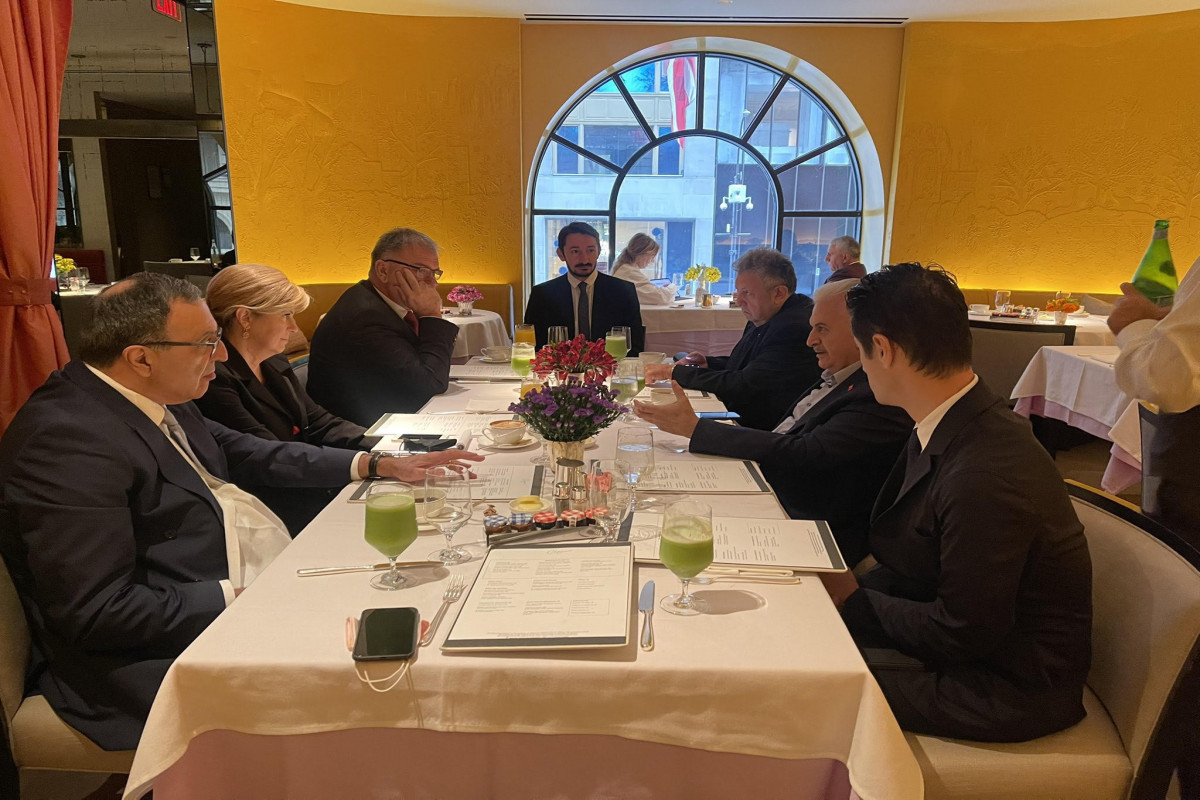 Члены Международного центра Низами Гянджеви встретились с Эрдоганом