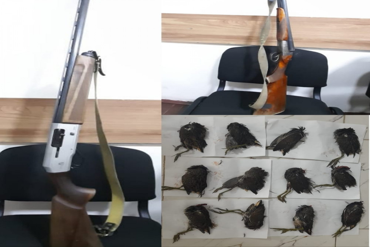 Astarada qanunsuz ov