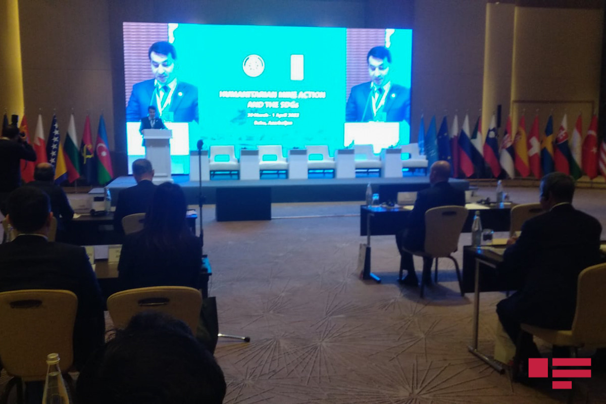 Prezidentin köməkçisi: “Azərbaycan minatəmizləmə sahəsində qətiyyətli addımlar atır”