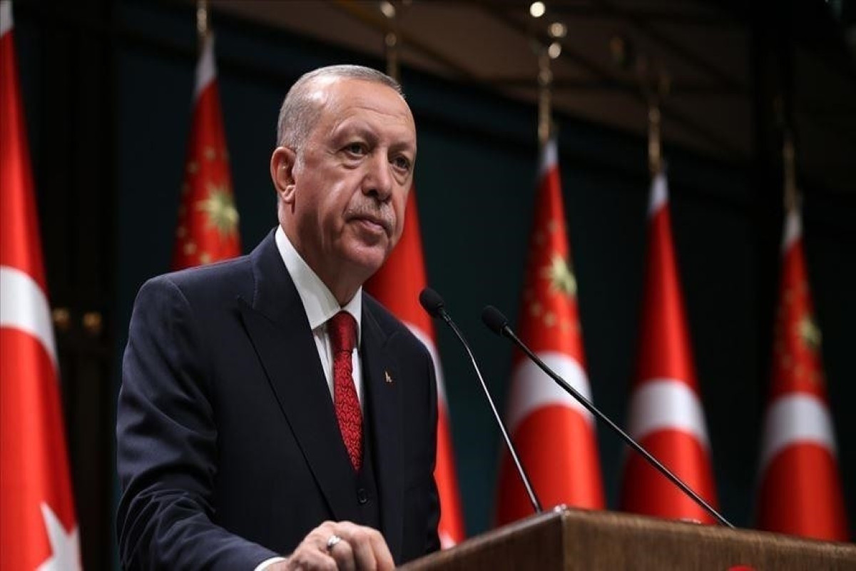 Ərdoğan Yaponiya Baş naziri ilə Ukraynanı müzakirə edib