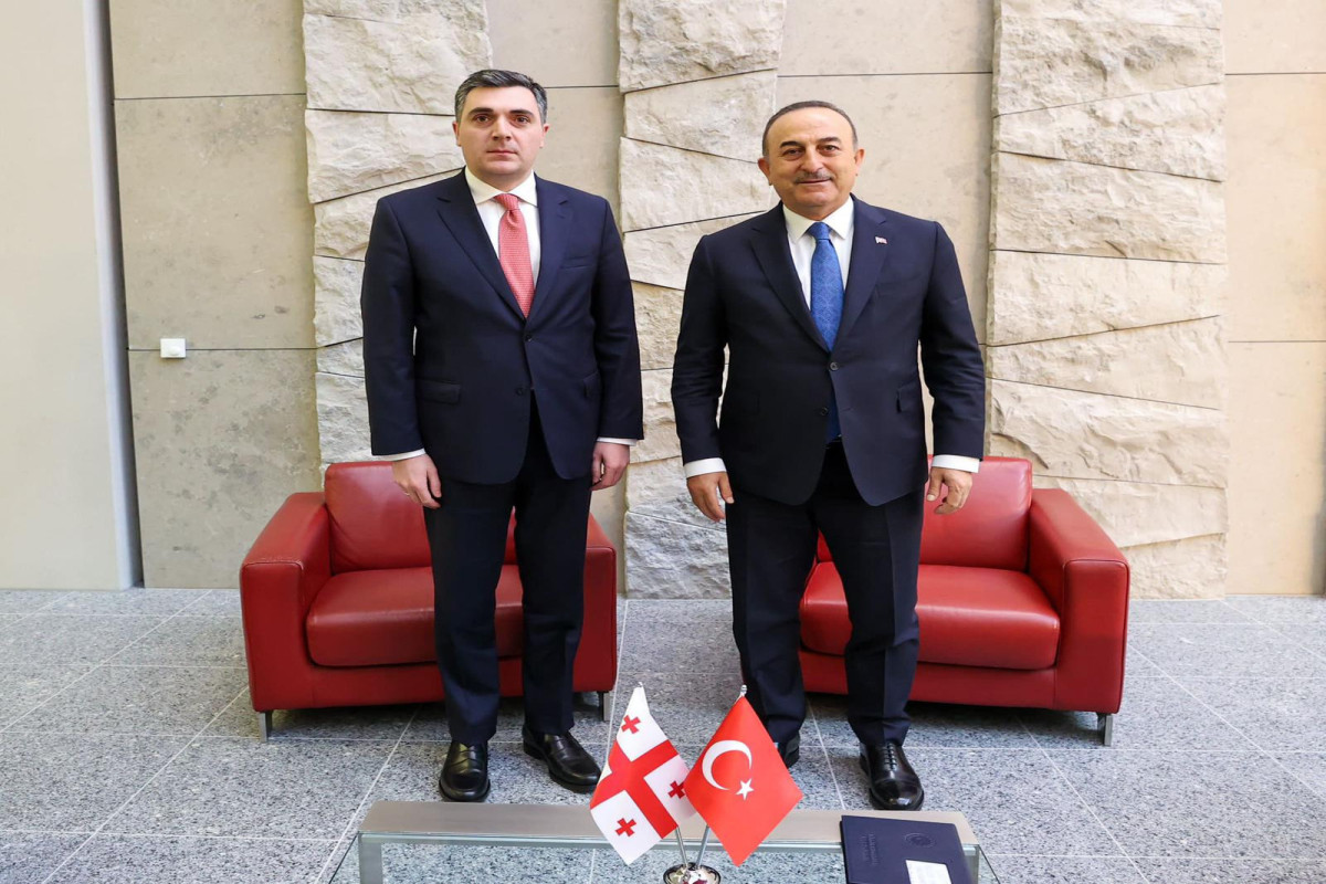 İlya Darçiaşvili, Çavuşoğlu