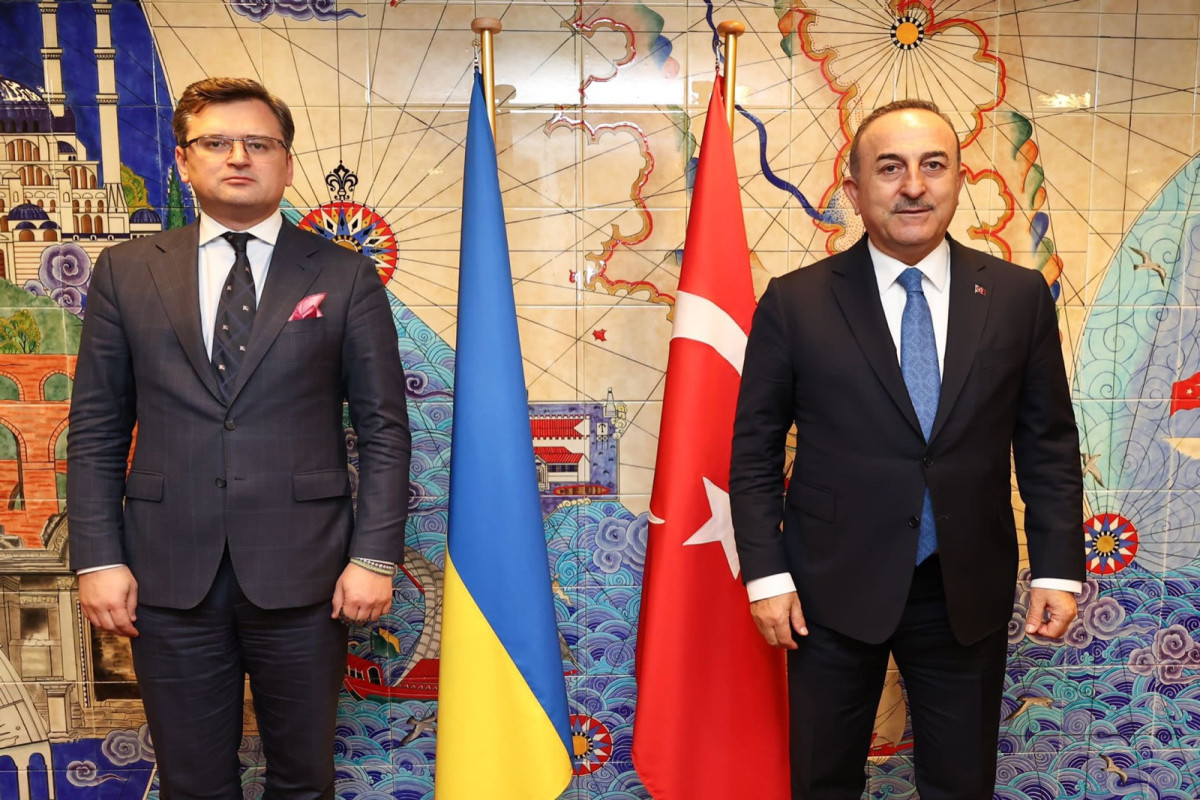 Dmitri Kuleba, Mövlud Çavuşoğlu
