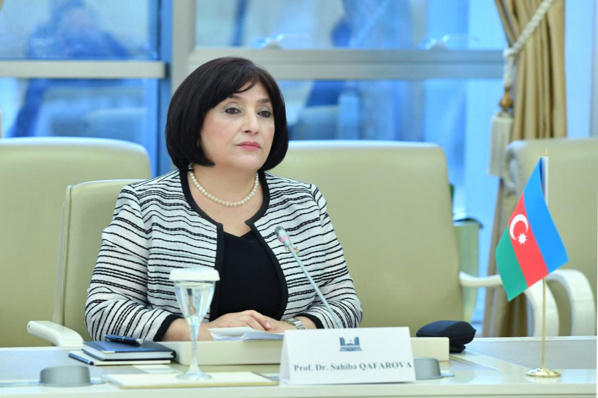Sahibə Qafarova, Milli Məclisin sədri