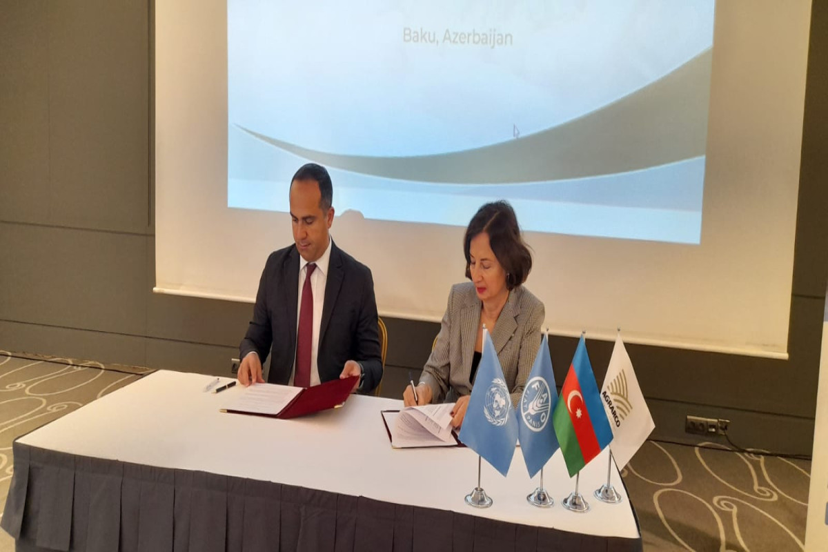 FAO Azərbaycanda findıqçılığın inkişafı ilə bağlı memorandum imzalayıb - FOTO 