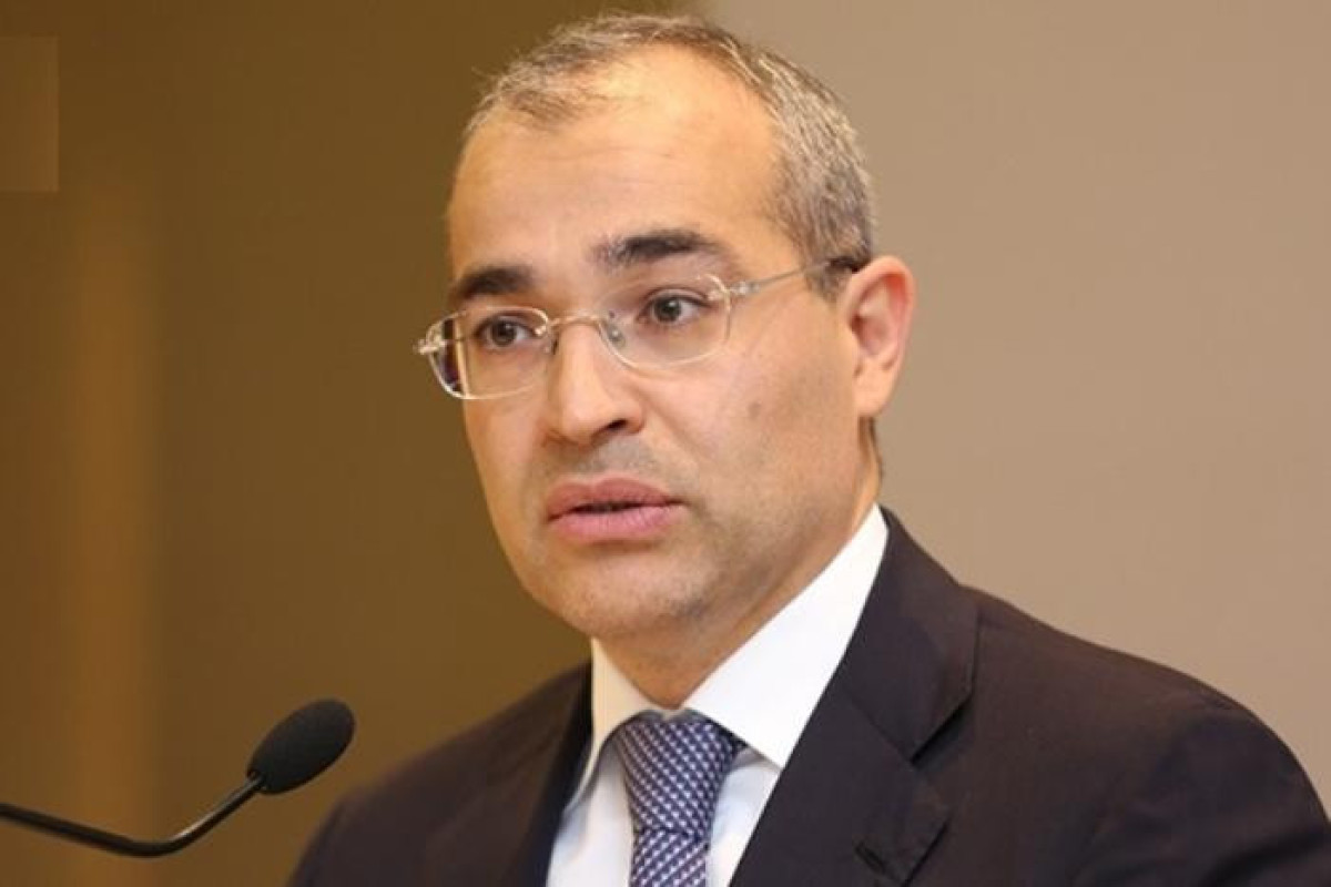 Mikayıl Cabbarov: "İsveçrə ilə əməkdaşlığımız daha da sürətlənəcək"