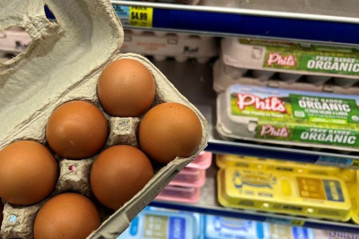 Bird flu, Ukraine war push egg prices higher worldwide