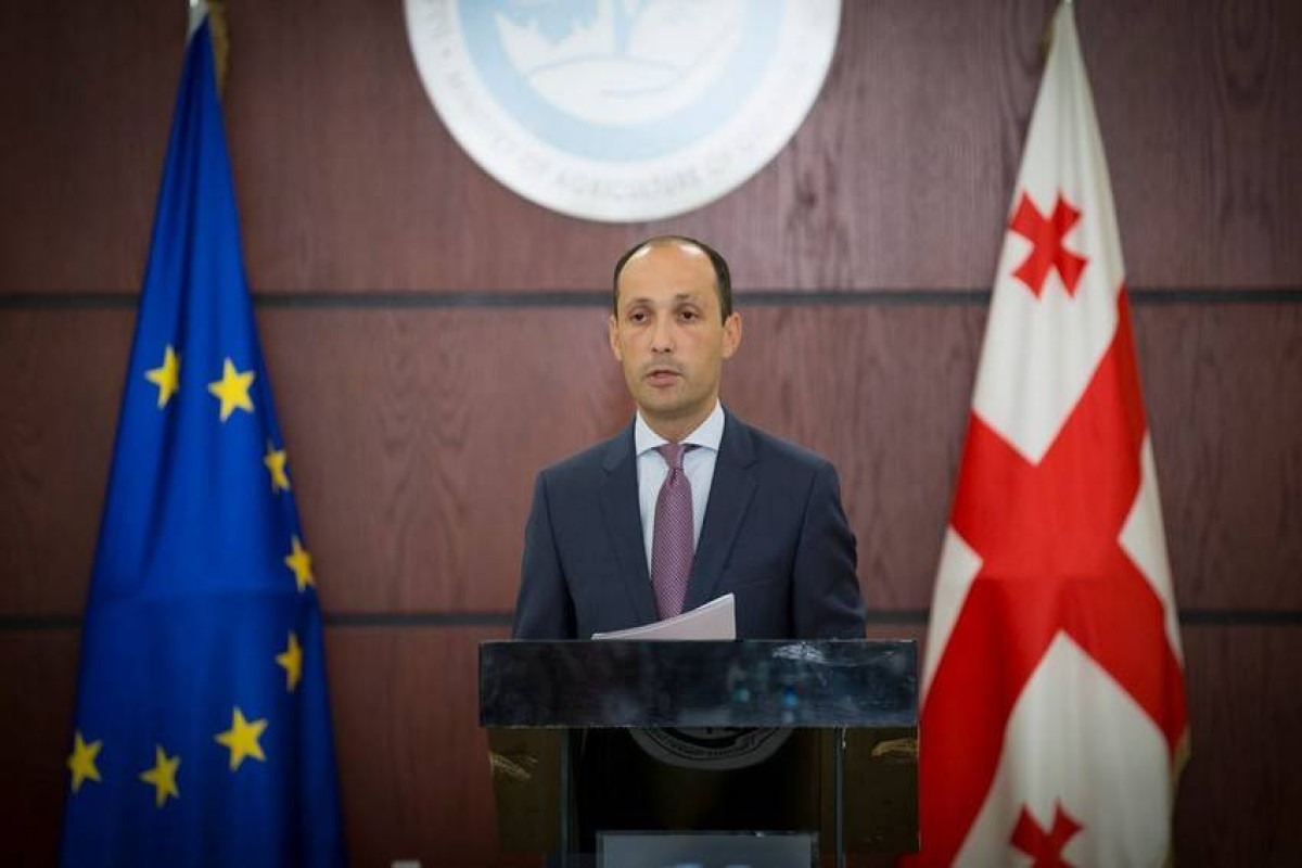 Levan Davitashvili, Georgia's Deputy Prime Minister, Minister of Economic and Sustainable Development