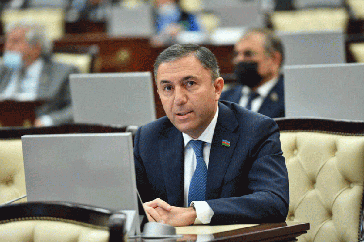 Tahir Mirkişili, Milli Məclisin İqtisadi siyasət, sənaye və sahibkarlıq komitəsinin sədri
