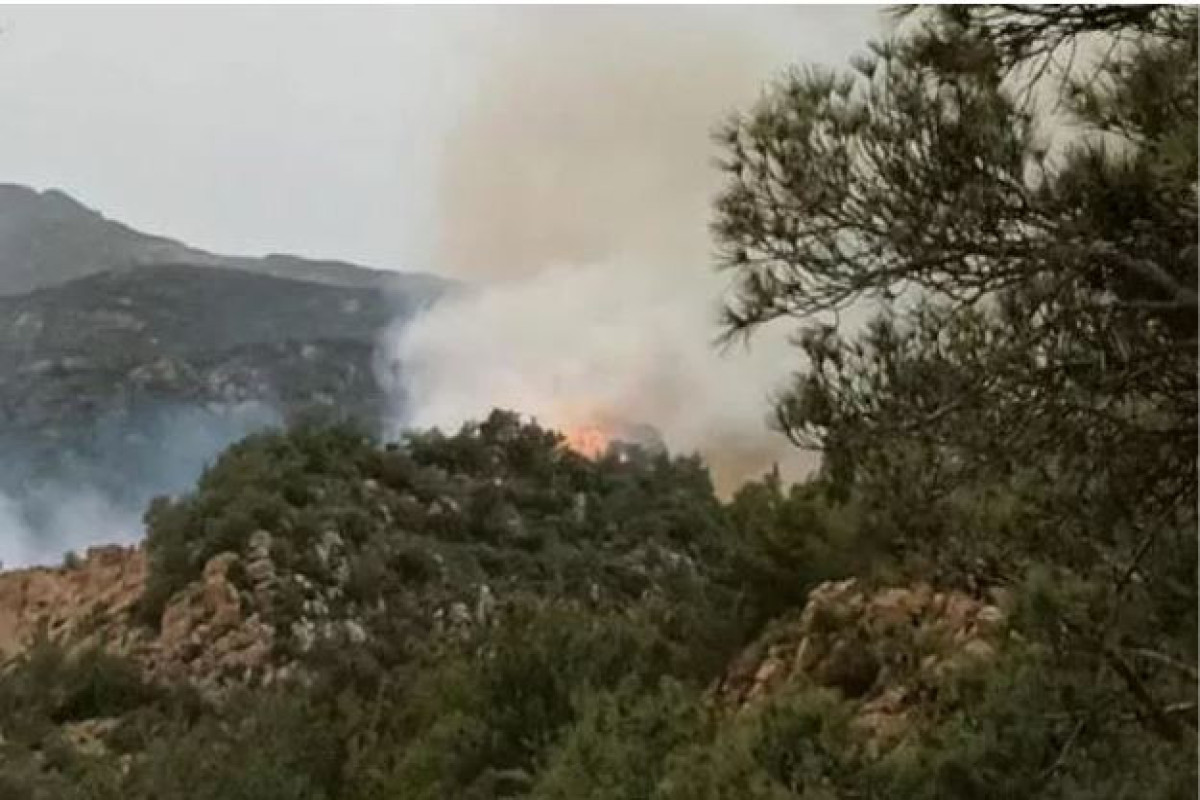 Türkiyənin Bodrum ərazisində meşə yanır