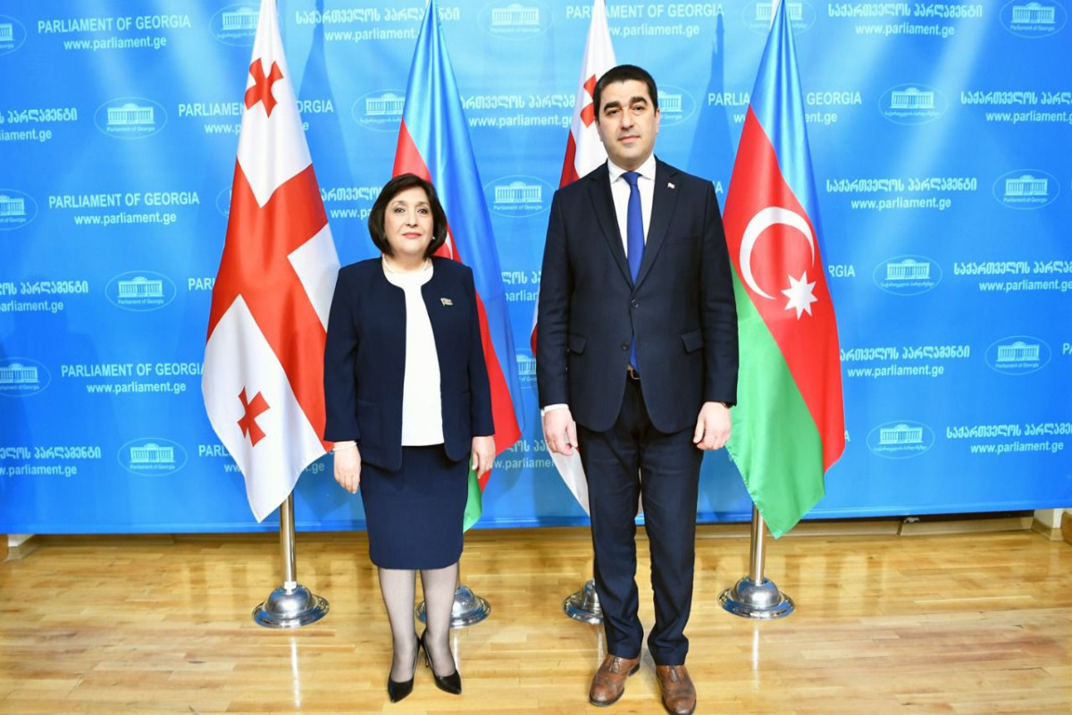 Sahibə Qafarova Gürcüstan parlamentinin sədri ilə görüşüb