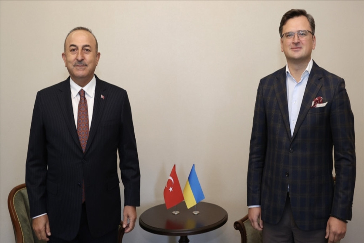 Mevlut Cavusoglu, Turkish Foreign Minister and Dmitry Kuleba, Ukranian Foreign Minister