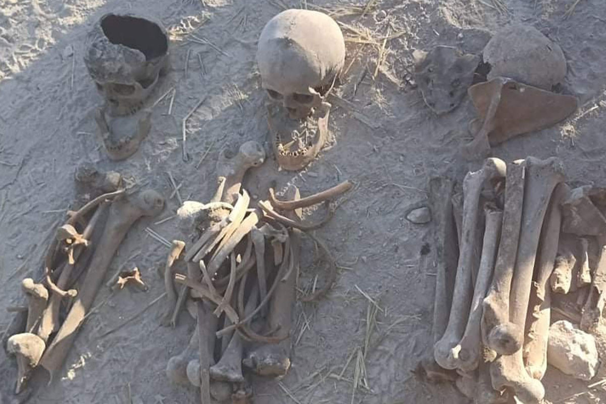 Комиссия: Экспертиза останков тел, найденных на высоте Фаррух, доказывает их принадлежность азербайджанцам-ВИДЕО 