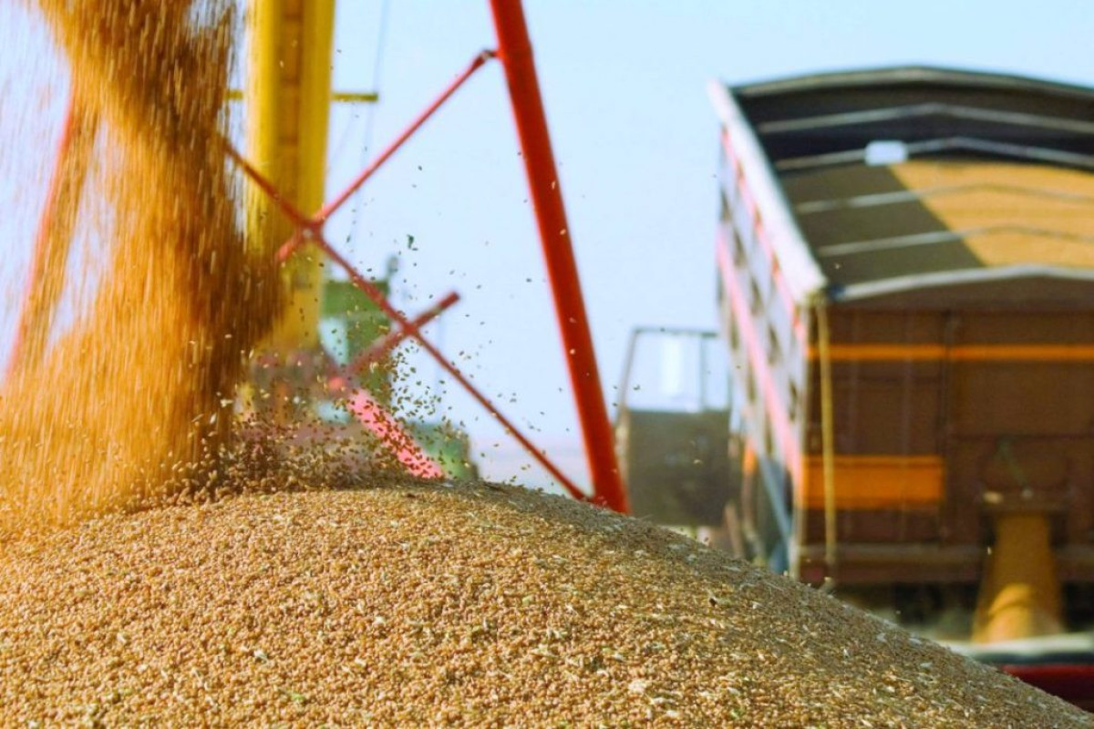 Казахстан недоволен введенным РФ запретом на экспорт зерна в страны ЕАЭС