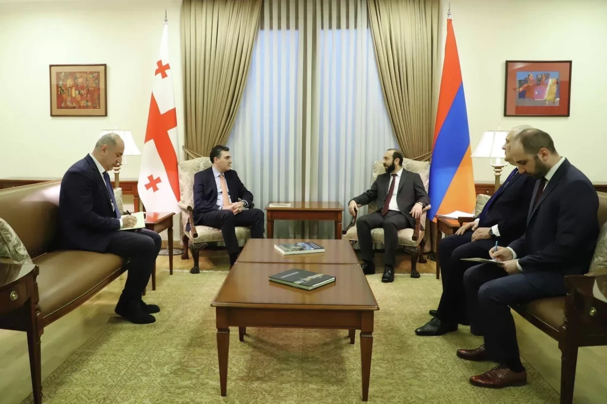 Georgian Foreign Minister visits Armenia